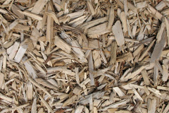 biomass boilers Abridge