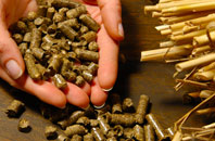 free Abridge biomass boiler quotes